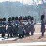 guards_band5